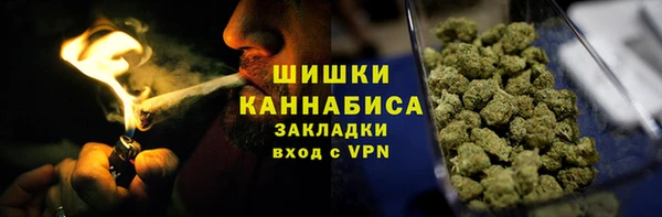 ГАЛЛЮЦИНОГЕННЫЕ ГРИБЫ Аркадак