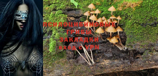 ГАЛЛЮЦИНОГЕННЫЕ ГРИБЫ Аркадак