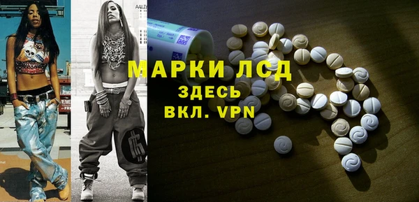 ГАЛЛЮЦИНОГЕННЫЕ ГРИБЫ Аркадак