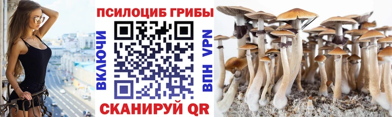 гидра маркетплейс Качканар Псилоцибиновые грибы GOLDEN TEACHER