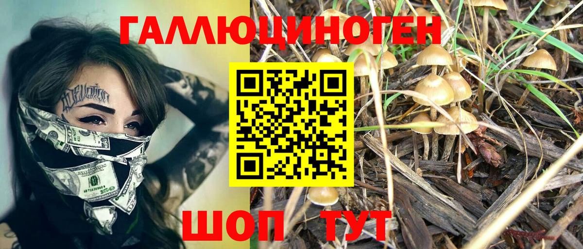 Псилоцибиновые грибы GOLDEN TEACHER  Галлюциногенные грибы мицелий  Вход с VPN  Качканар 